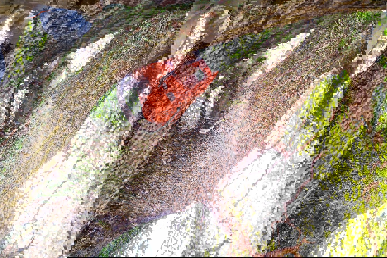 Man Pruning Tree Branches Work City Utilities After Hurricane Storm Damage Trees After Storm