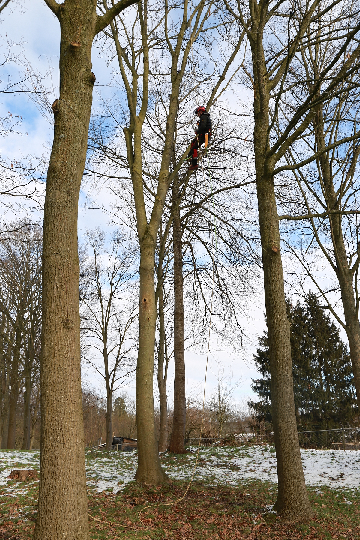 Ecologische Snoei Valkenburg