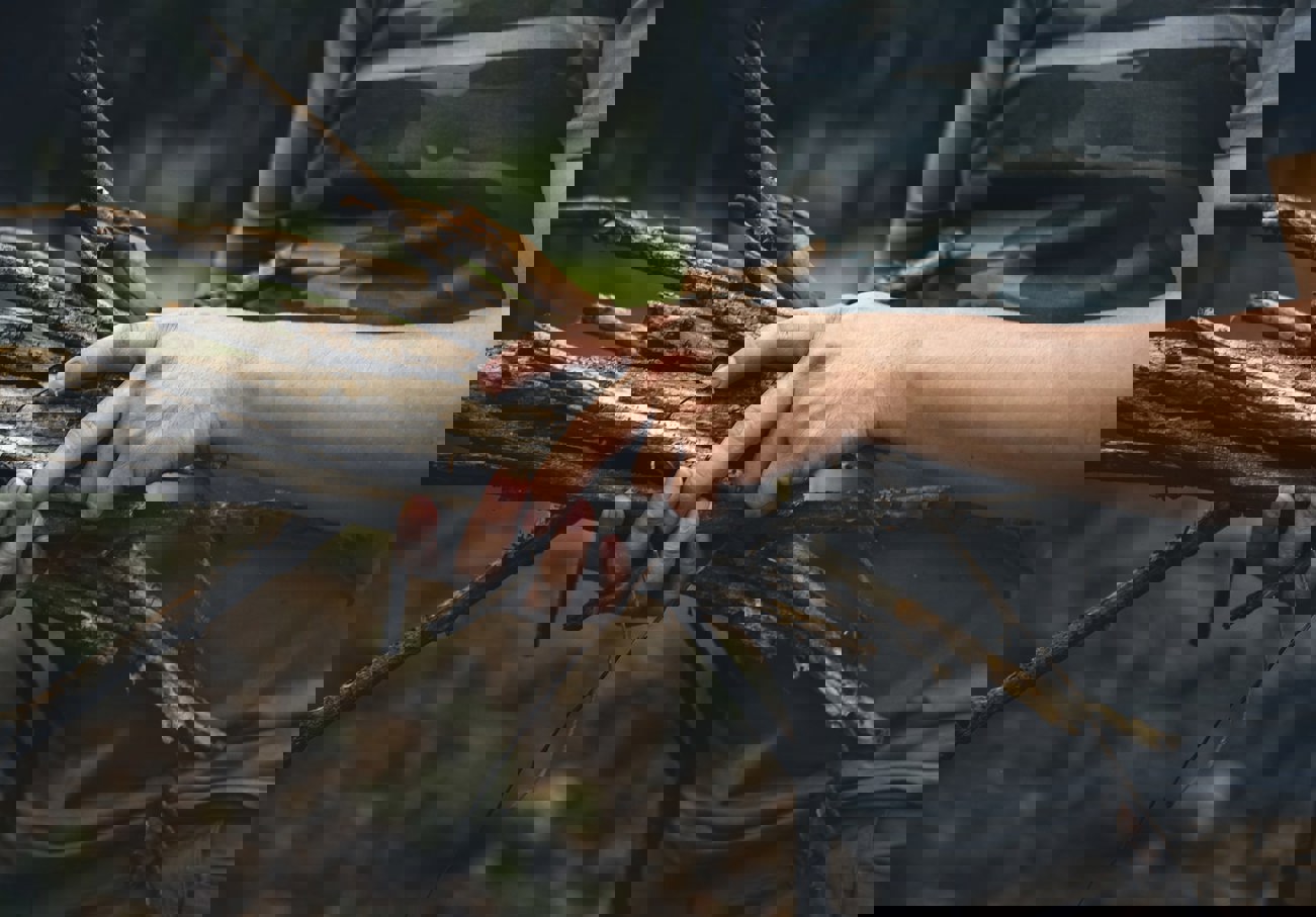 Man Gathering Some Firewood Fire