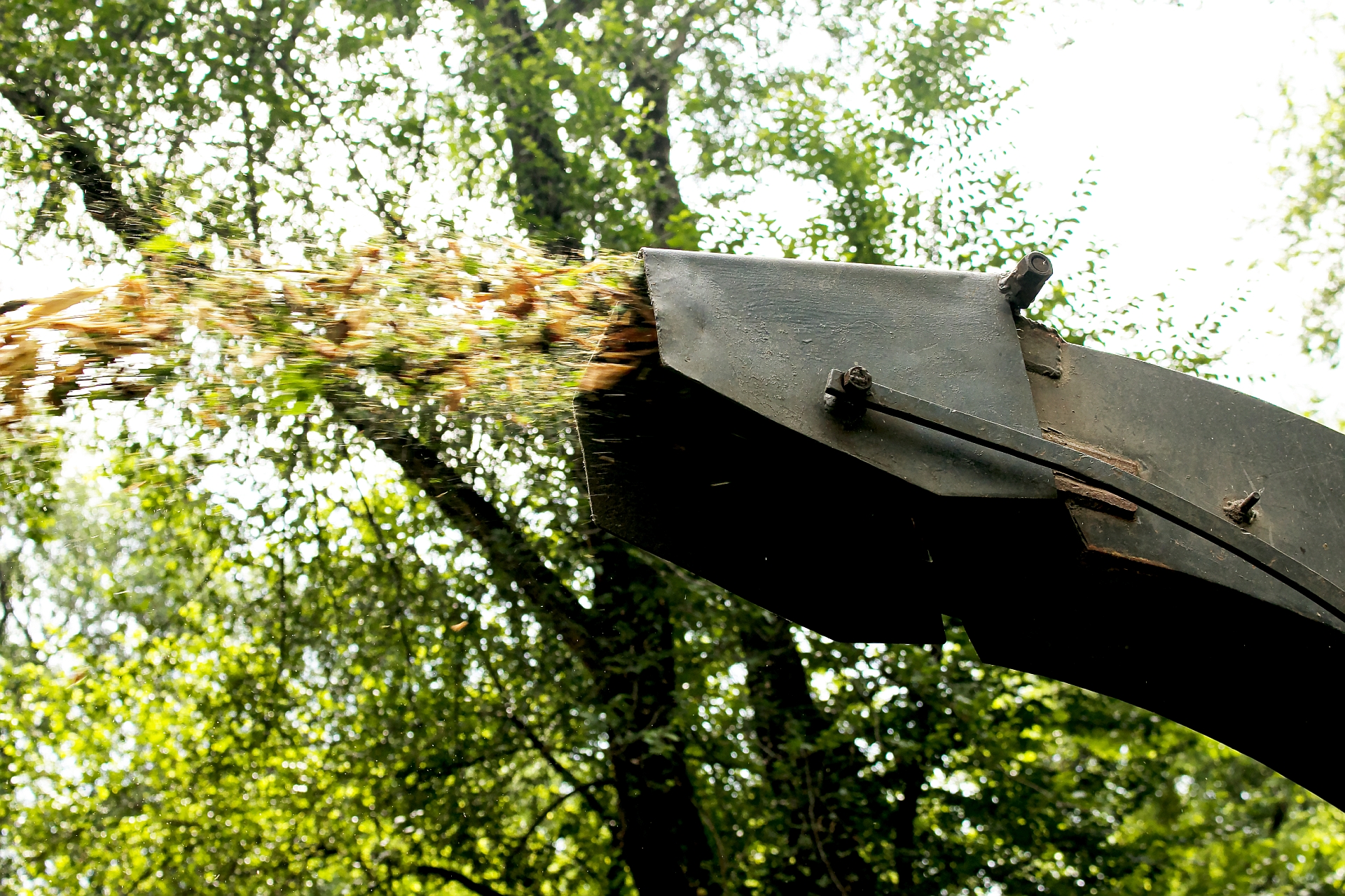 Mobiele hakselaar verwerkt droge takken na boomonderhoud